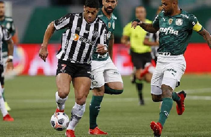 nhan dinh soi keo atletico mineiro vs palmeiras 6h30 ngay 18 6 chia diem te nhat 1718539383