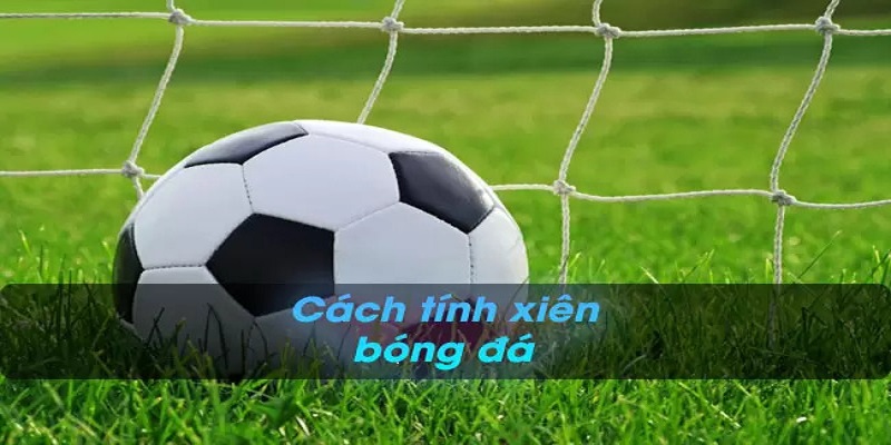 cách đặt cược xiên 7m